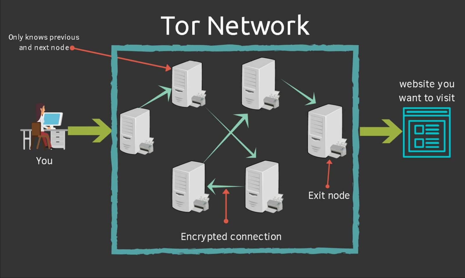 Tor infographic image